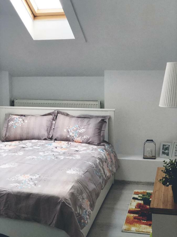 Studio Central Targu Jiu Bagian luar foto